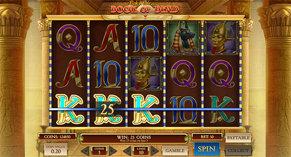 Book of Dead slot